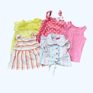 Spring Themed 5 Piece Girl Toddler Clothing Bundle Size 12 Months